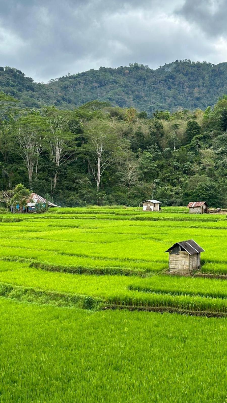 Petra Homestay Bangka Leda Рутенг Экстерьер фото